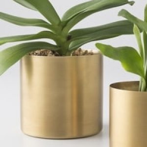 Golden plant pots